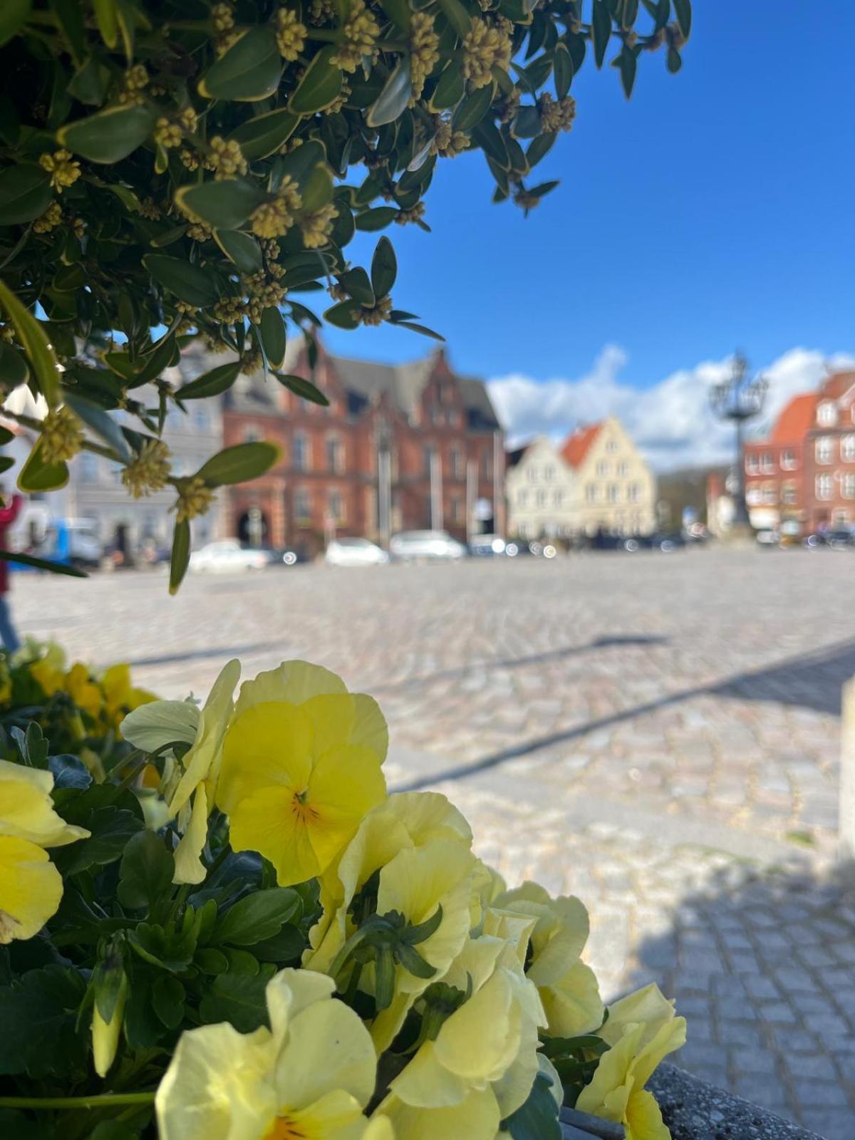 Lykkefund - Ferienwohnungen In Hafennaehe Glueckstadt Luaran gambar
